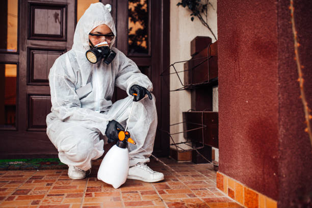 Attic and Crawl Space Rodent Treatment in Manson